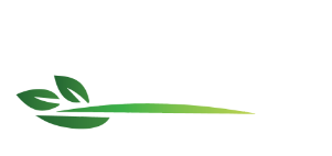 TS Logo