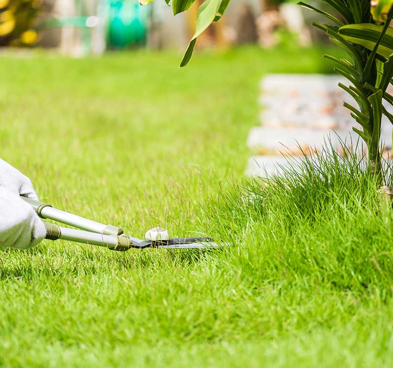 The Benefits of Maintaining Your Lawn<br />
