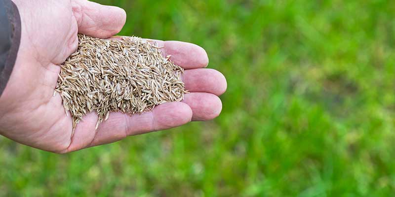 Overseeding Services<br />
