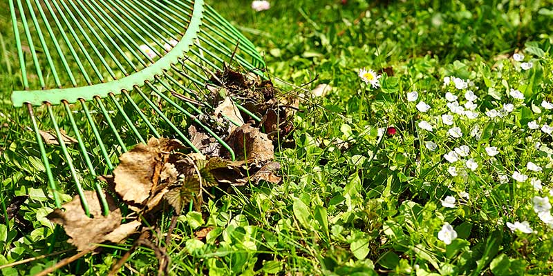 Green on grass rake wooden handle