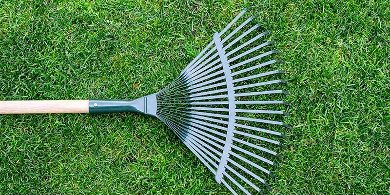 Rake on wooden stick collecting grass