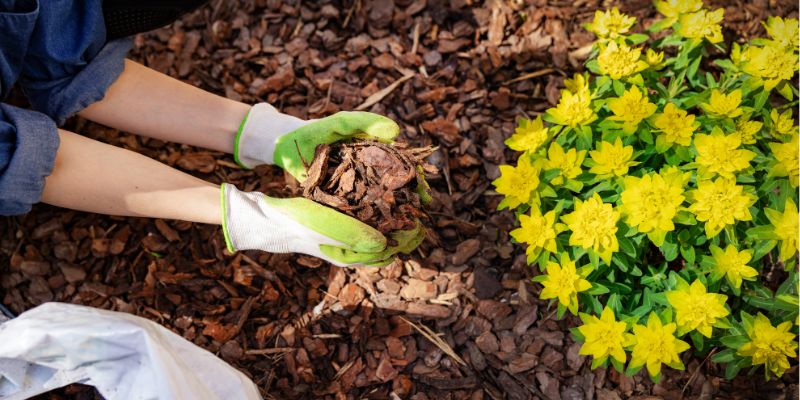 Mulching Services