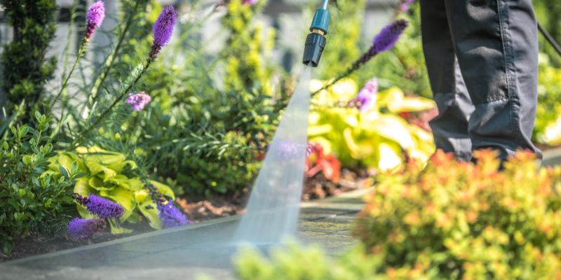 Driveway & Sidewalk Cleaning Services