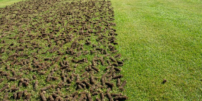 What Is Lawn Aeration