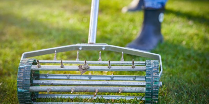 What Is Aeration And Overseeding