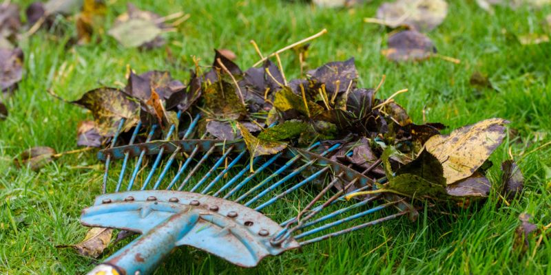 Storm Damage Cleanup
