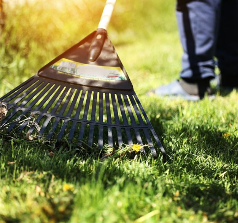 Why Winter Lawn Cleanup Matters