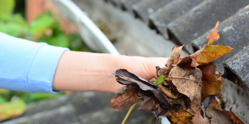 Check Drainage And Irrigation Systems
