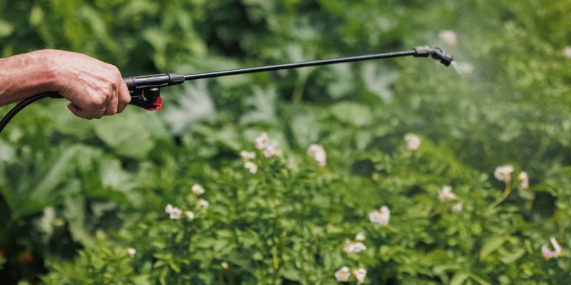 Improve Resistance To Heat Drought Pests And Disease