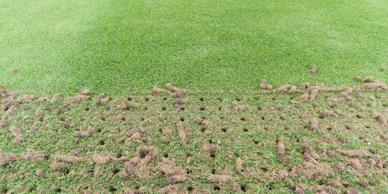 Relieve Soil Compaction